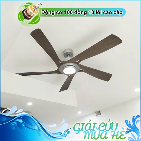 Quạt trần nghệ thuật 5 Cánh ABS vân gỗ - DC Inverter G598