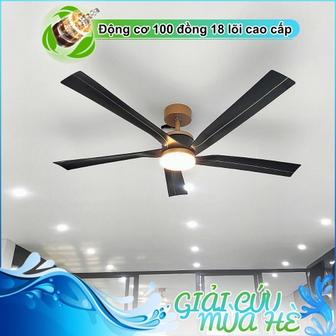 Quạt trần đèn 5 Cánh ABS nghệ thuật – DC Inverter – Mã G592