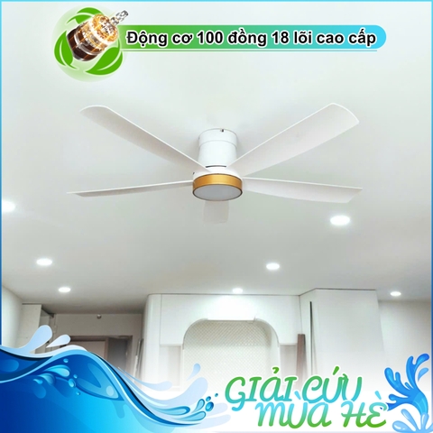Quạt trần dành cho không gian vừa và nhỏ - 5 Cánh ABS chống bụi- DC Inverter G584