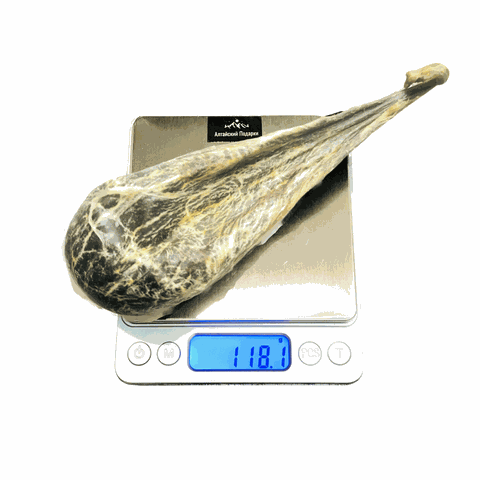 Медвежья желчь