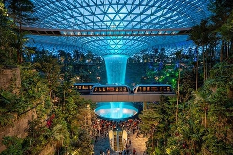 SINGAPORE -TUYỂN GẤP NAM ĐÓNG GÓI RAU CỦ 