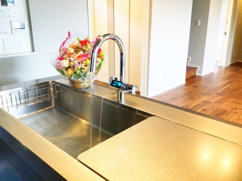 ION KIỀM TRIM ION GRACIA