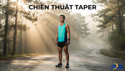 CHIẾN THUẬT TAPER 3 TUẦN: BÍ QUYẾT TÍCH LŨY GLYCOGEN VÀ ĐẠT ĐỈNH PHONG ĐỘ NGÀY RACE