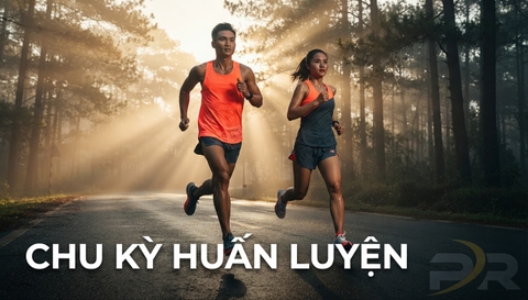 Chu Kỳ Hóa Huấn Luyện (Periodization): Giải Mã Lý Do Khoa Học Vì Sao Bạn Không Thể Duy Trì Phong Độ Đỉnh Cao Quanh Năm