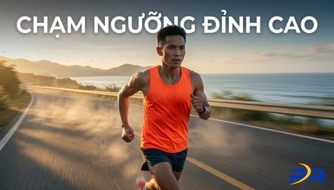 Khoảng Cách Elite Marathon Việt Nam Và Chuẩn Quốc Tế: Phân Tích Chuyên Sâu Từ Kỳ Tích 2:19:44 Tại VM All-Star 2026