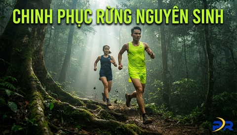 Đồng Hành Cùng Các Giải Chạy Xuyên Rừng Nguyên Sinh: Bản Lĩnh Chinh Phục Cung Đường Trail Khắc Nghiệt