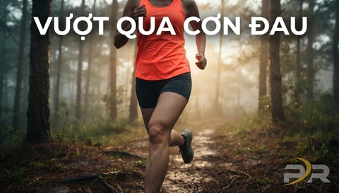 Hội Chứng Đau Xương Bánh Chè (Runner's Knee): Nguyên Nhân Cơ Sinh Học Và Chiến Lược Phục Hồi Toàn Diện Cho Người Chạy Bộ