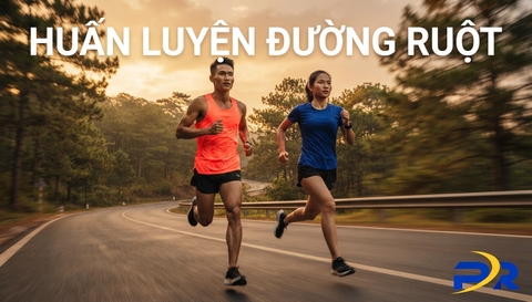 Huấn luyện đường ruột (Gut Training): Bí quyết rèn luyện dạ dày tối ưu hóa hấp thụ Carb để bứt phá giới hạn Marathon