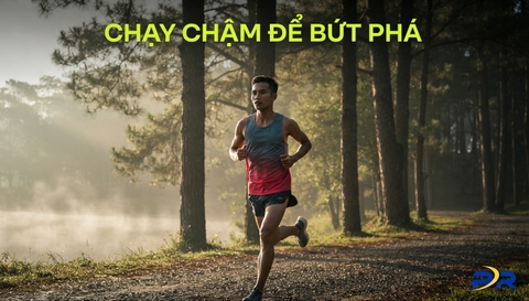 KHOA HỌC HUẤN LUYỆN 80/20: NGHỊCH LÝ VÙNG 2 VÀ BÍ QUYẾT BỨT PHÁ MARATHON BỀN VỮNG