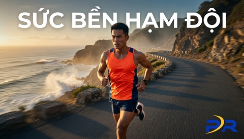Vai Trò Trụ Cột Của Long Run Trong Giáo Án Hạm Đội: Chìa Khóa Vàng Bứt Phá Sức Bền Marathon