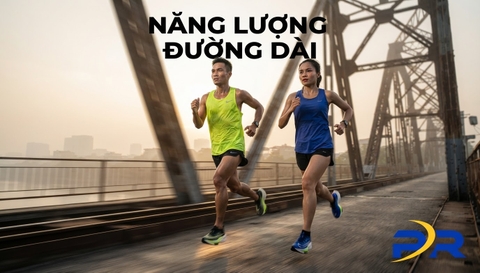 GLYCOGEN VÀ MỠ: KHẢO SÁT CHUYÊN SÂU VỀ CƠ CHẾ CHUYỂN HÓA NĂNG LƯỢNG KHI CHẠY ĐƯỜNG DÀI