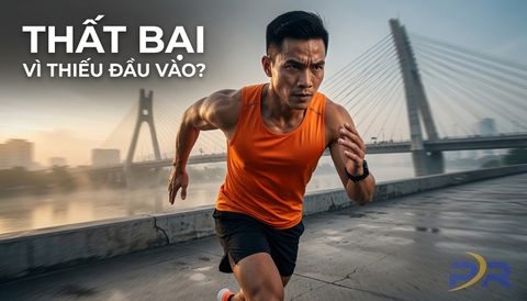 Vì Sao Giáo Án Chạy Bộ Cần Đánh Giá Đầu Vào? Chìa Khóa Tối Ưu Hiệu Suất Và Ngăn Ngừa Chấn Thương