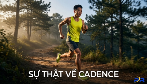 Sự Thật Về Cadence Cao Trong Chạy Bộ: Chỉ Số Vàng Hay Cái Bẫy Chấn Thương Biến Tướng?