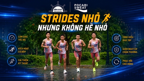 Strides: Sức Mạnh Từ Những Bước Sải Chân Nhỏ Bé