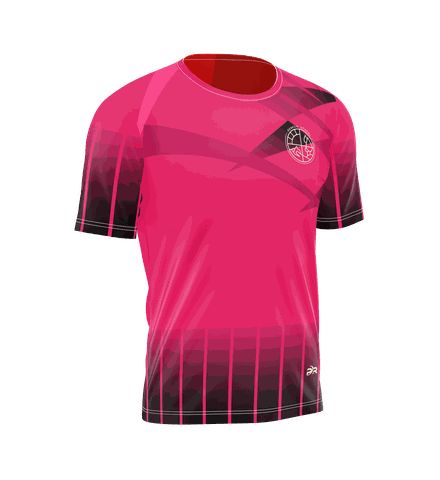 Áo Thun Đồng Phục Lớp 4A1 Genesis School – Mãi Đỉnh | PR SPORT