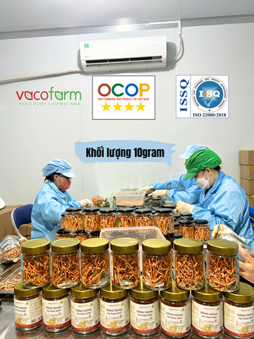 ĐÔNG TRÙNG HẠ THẢO SẤY KHÔ (Lọ 10gram)
