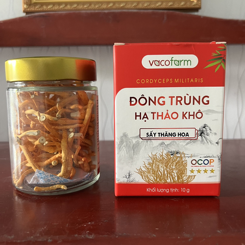ĐÔNG TRÙNG HẠ THẢO SẤY KHÔ (Lọ 10gram)