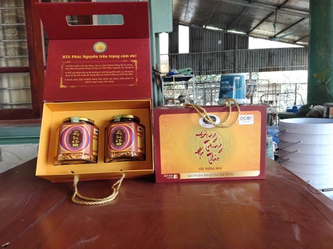ĐÔNG TRÙNG HẠ THẢO