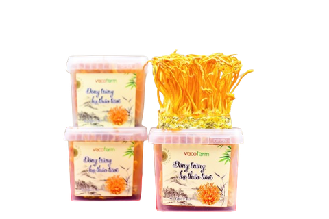 ĐÔNG TRÙNG HẠ THẢO TƯƠI (180g)