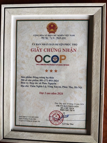 ĐÔNG TRÙNG HẠ THẢO