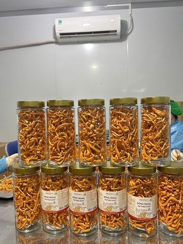ĐÔNG TRÙNG HẠ THẢO SẤY THĂNG HOA LỌ (50gram)