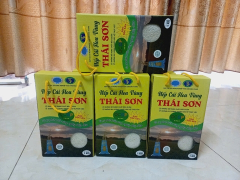 GẠO NẾP CÁI HOA VÀNG THÁI SƠN (Túi 5 Kg)