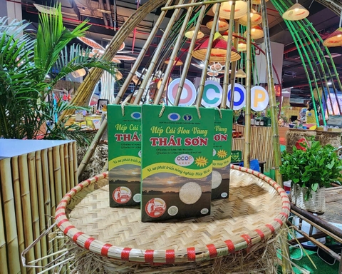 GẠO NẾP CÁI HOA VÀNG THÁI SƠN (Túi 5 Kg)