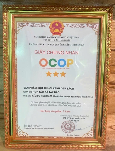 BỘT CHUỐI XANH DIỆP BÁCH (lọ 500g)