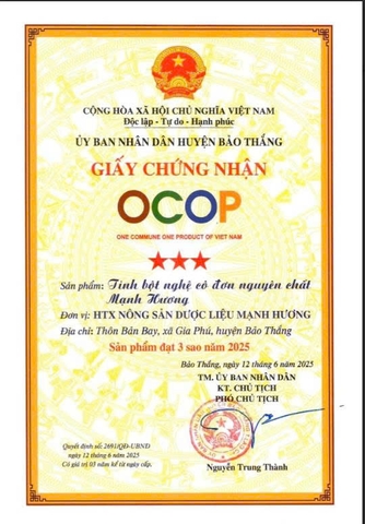 TINH BỘT NGHỆ ĐỘC THÂN ĐẶC TRỊ DẠ DÀY (200g)