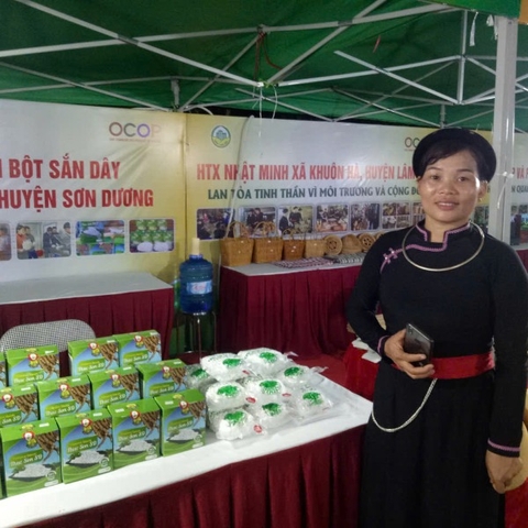 BỘT SẮN DÂY THỤC SƠN SD ( 500g)