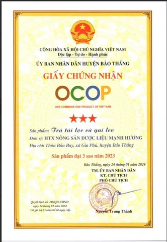 TRÀ TÚI LỌC CÀ GAI LEO ( 300g )