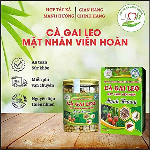 TRÀ TÚI LỌC CÀ GAI LEO ( 300g )