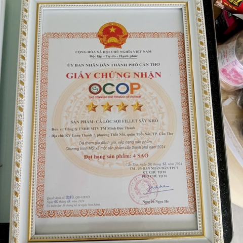 CÁ LÓC SỢI FILLET SẤY KHÔ (250g)