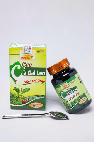 CAO CÀ GAI LEO MAI THỊ THỦY (100g)