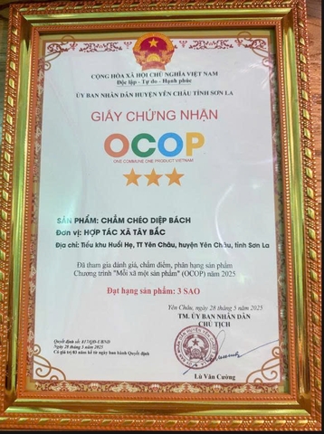 CHẲM CHÉO KHÔ DIỆP BÁCH (Lọ 150g)