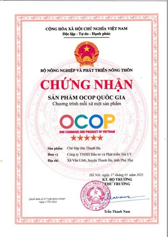 CHÈ BÚP TÍM THANH BA ( 150g )