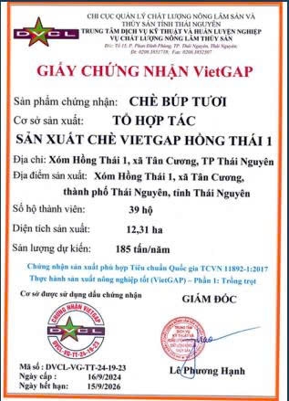 TRÀ TÔM NÕN ( Sét quà 500g)