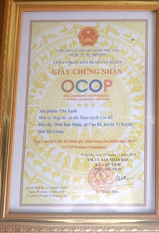 CHÈ XANH (hộp 200 g)