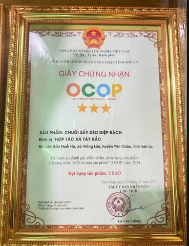CHUỐI SẤY DẺO DIỆP BÁCH (200g)