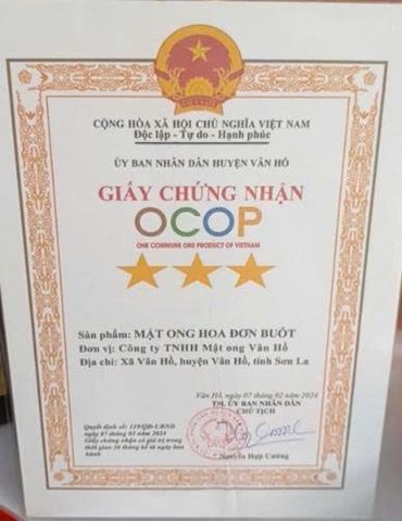 MẬT ONG HOA ĐƠN BUỐT (1000ml)