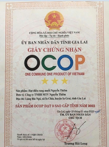 HẠT ĐIỀU RANG MUỐI NGUYỄN THIÊM (Hộp tròn 500g)