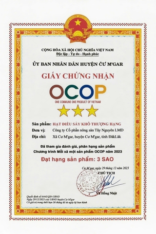 HẠT ĐIỀU SẤY KHÔ THƯỢNG HẠNG ( 1 Hộp 500g)