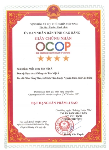 MIẾN DONG TÂN VIỆT Á (túi 500 g)