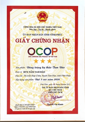 ĐÔNG TRÙNG HẠ THẢO TAM ĐẢO ( hộp 10g)