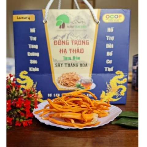 ĐÔNG TRÙNG HẠ THẢO TAM ĐẢO ( hộp 10g)
