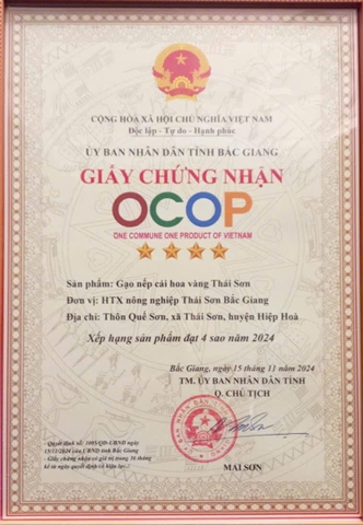 GẠO NẾP CÁI HOA VÀNG THÁI SƠN (Túi 5 Kg)