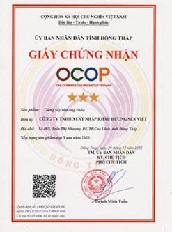 GỪNG SẤY DẺO SỮA ONG CHÚA (90g)