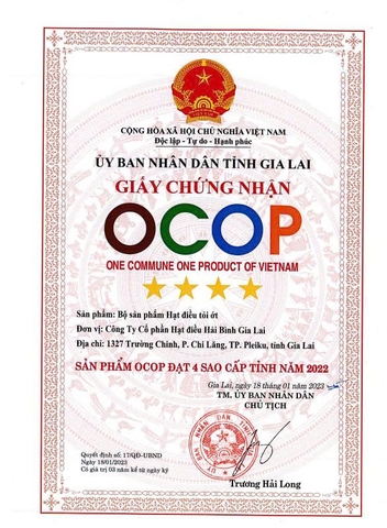 HẠT ĐIỀU TỎI ỚT (Hũ 210g)