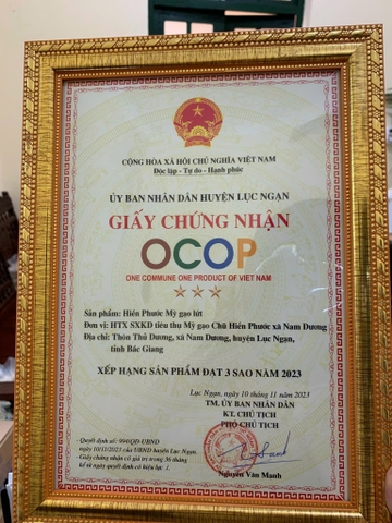 HIỀN PHƯỚC MỲ GẠO LỨT (500g)