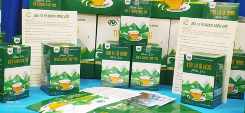 TRÀ LÁ ỔI RỪNG MIỀN ĐỒI (1 bộ 4 hộp)